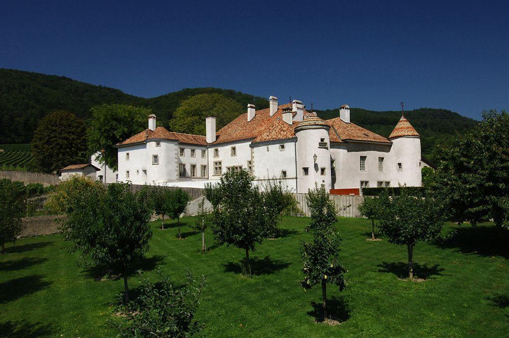 Отель Chateau Le Rosey Ньон Экстерьер фото