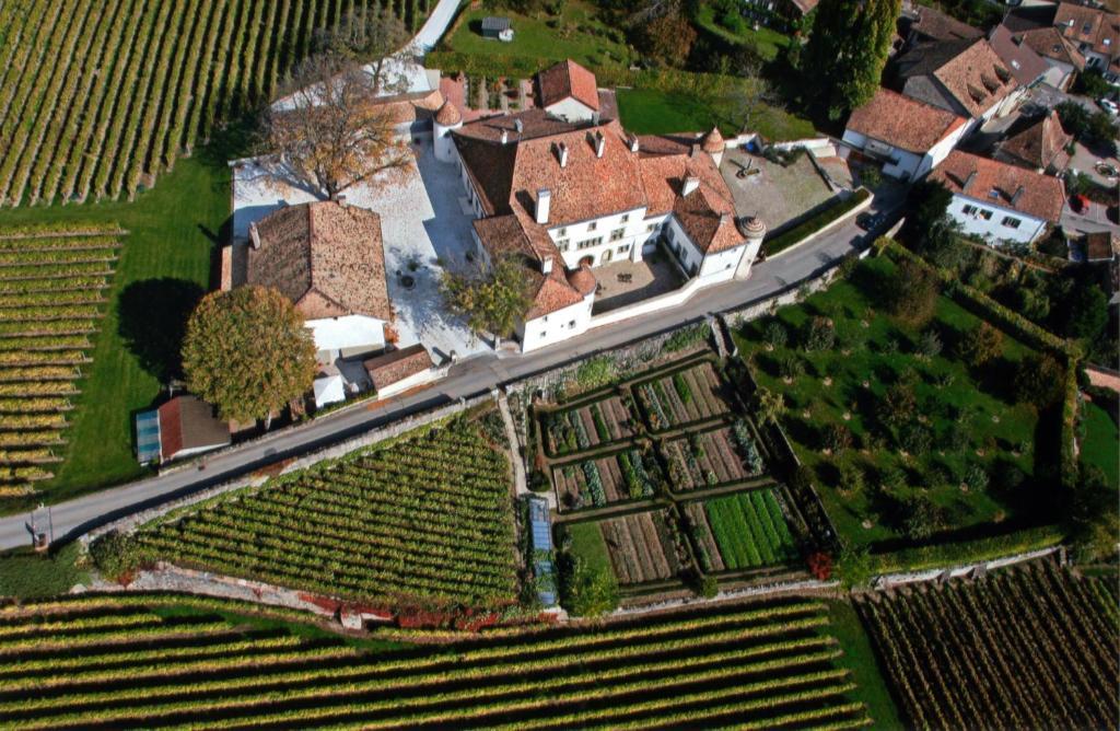 Отель Chateau Le Rosey Ньон Экстерьер фото